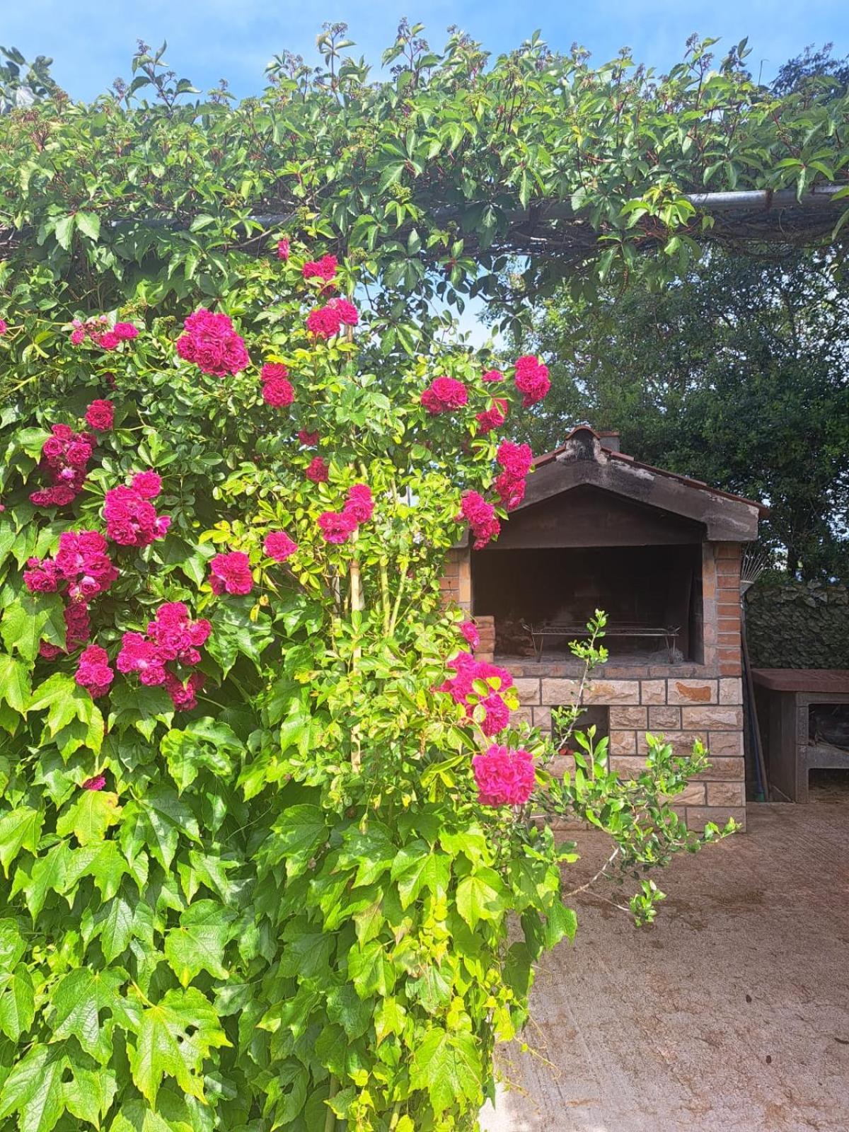 Apartman Melita *