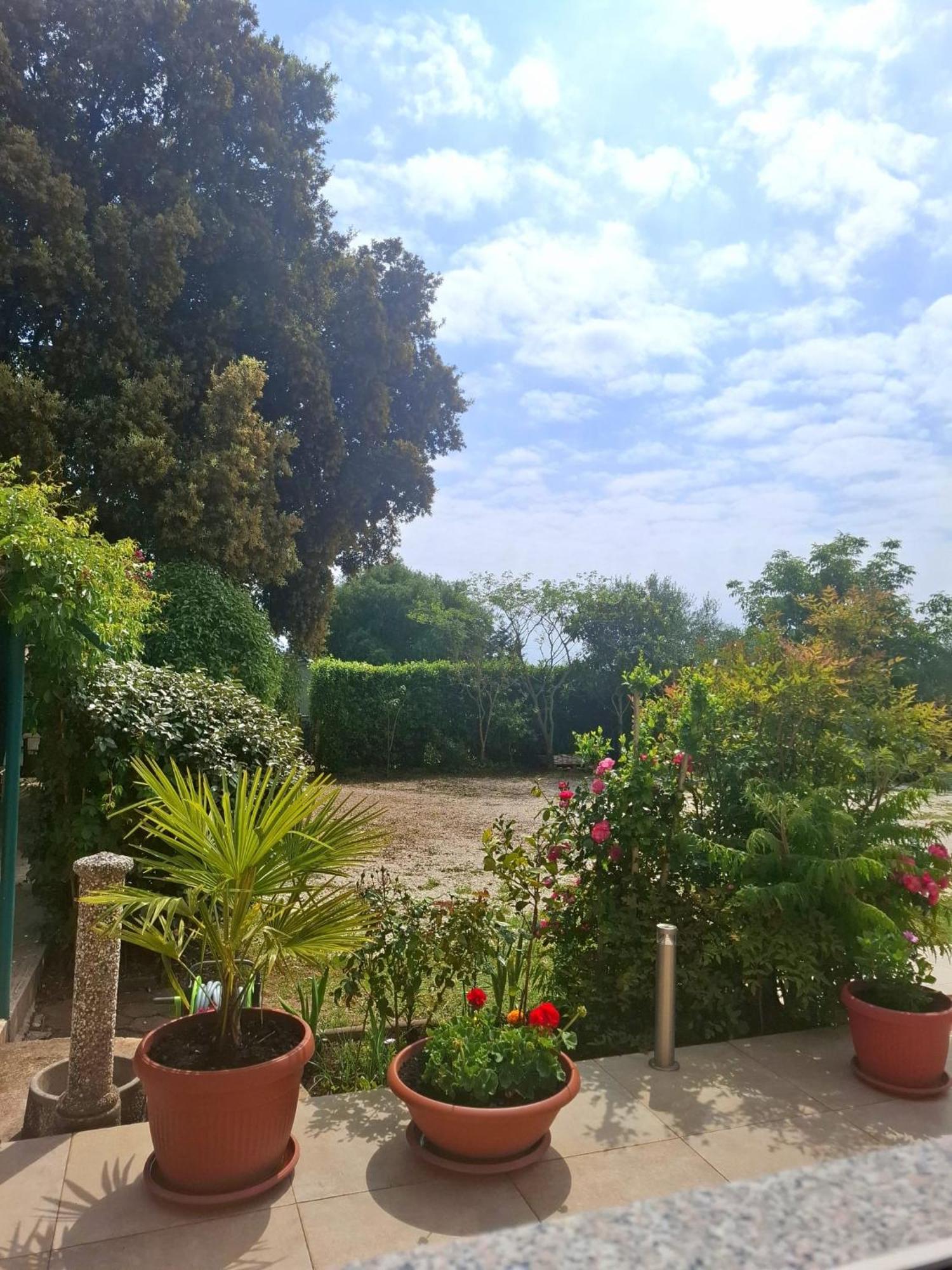 Apartman Melita Galižana
